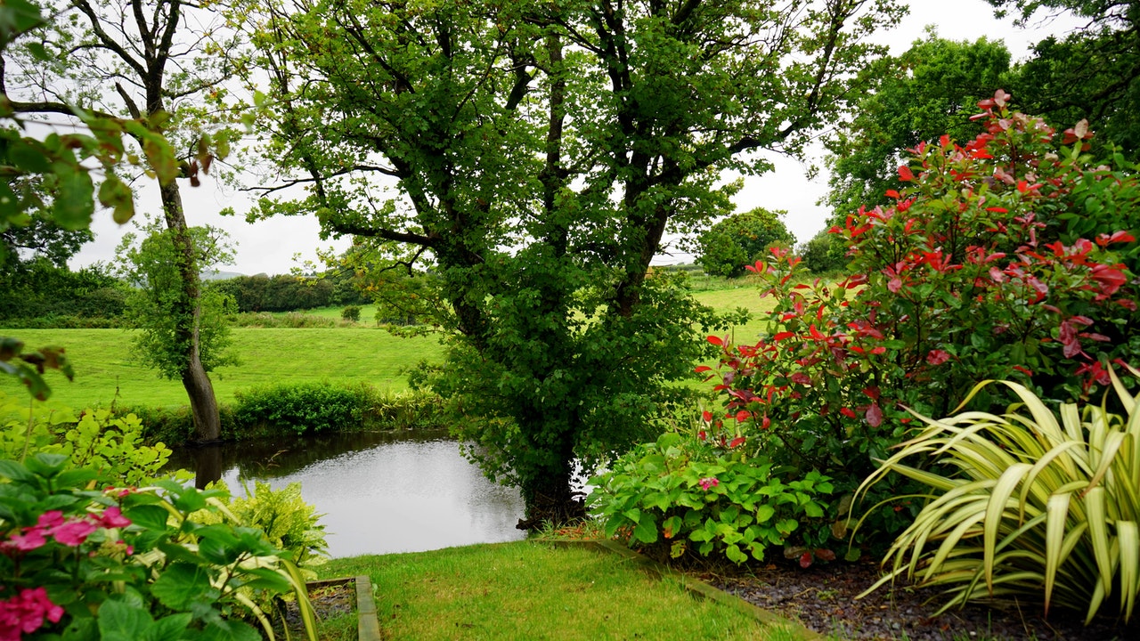 Small but beautiful home garden that its home owners enjoy