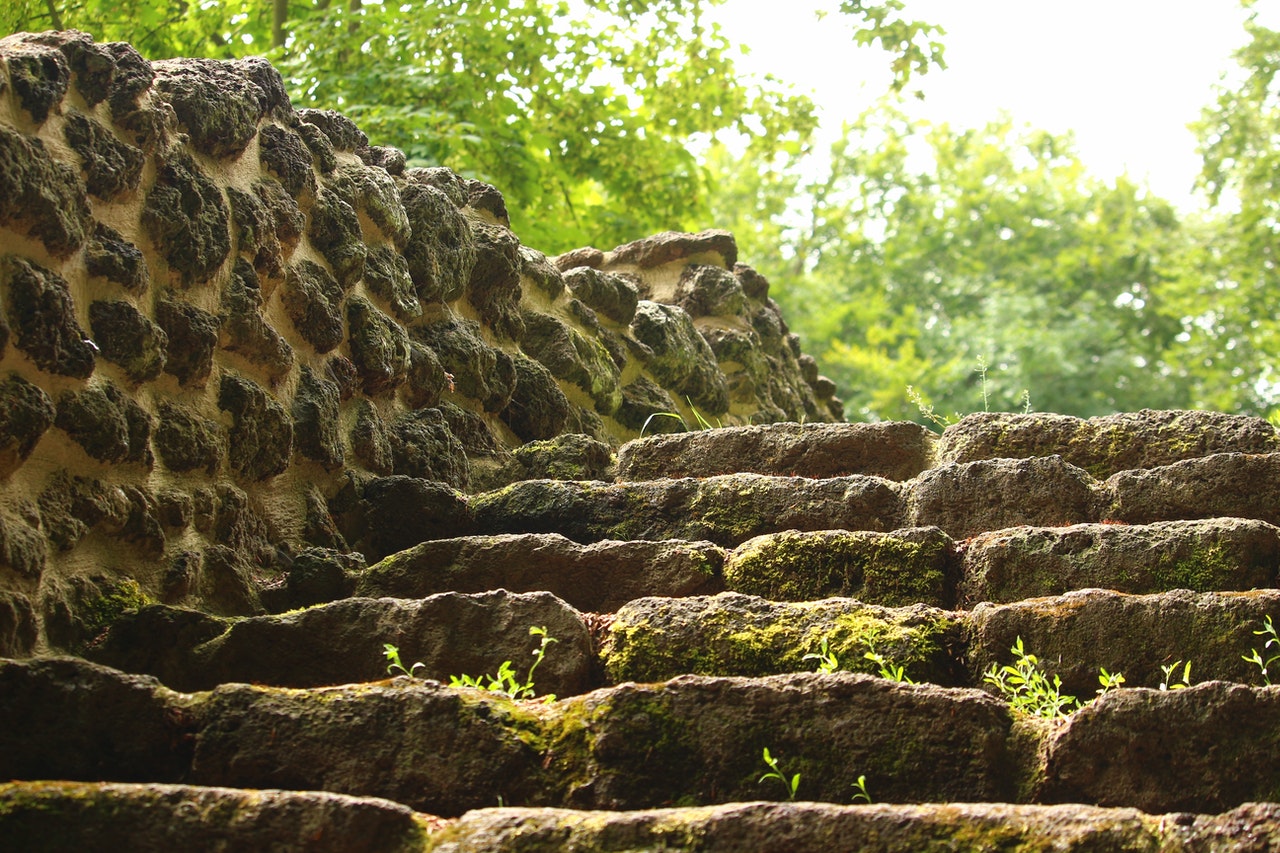 Old stairs in the woods in the middle of nowhere